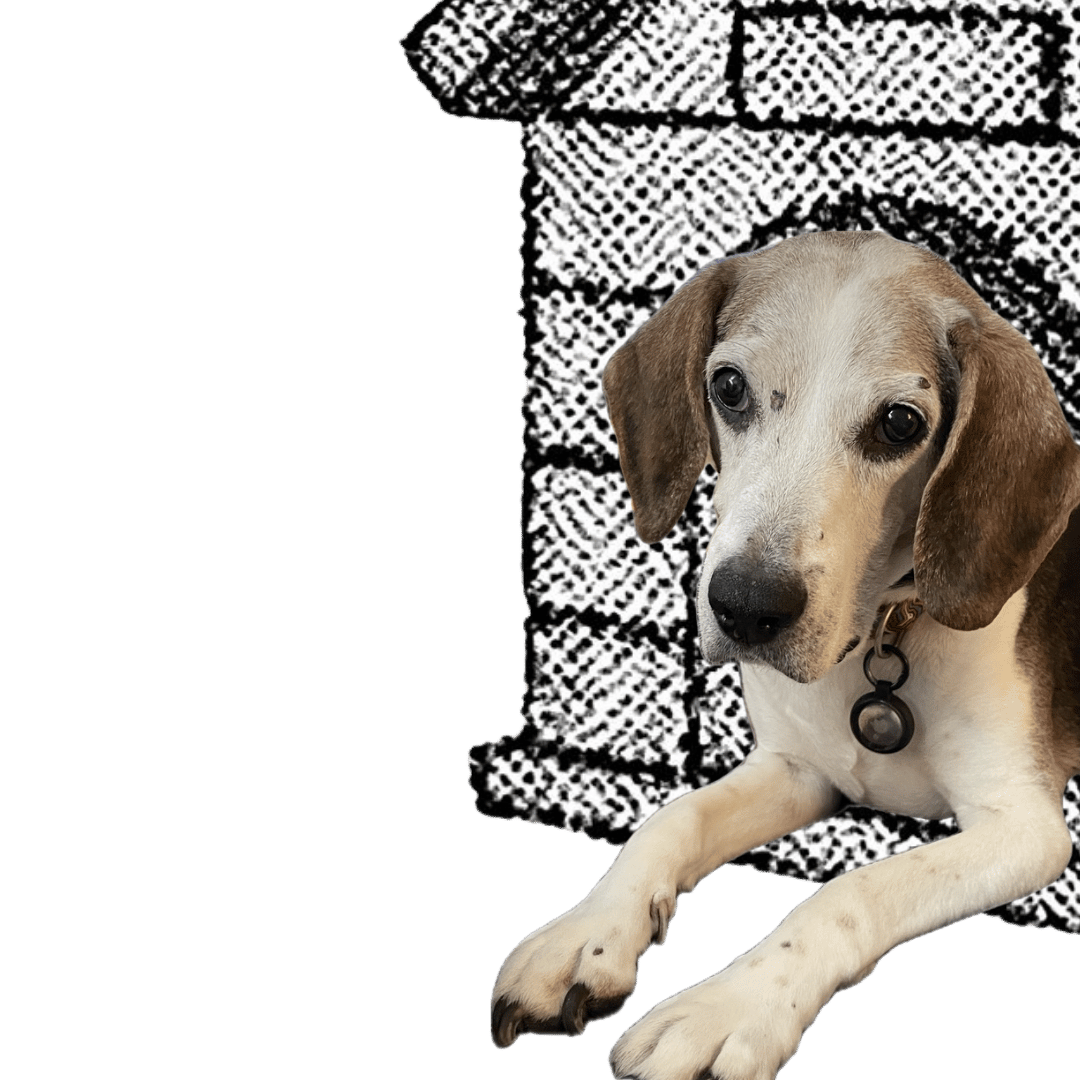 Moby, Philosopher-in-Residence