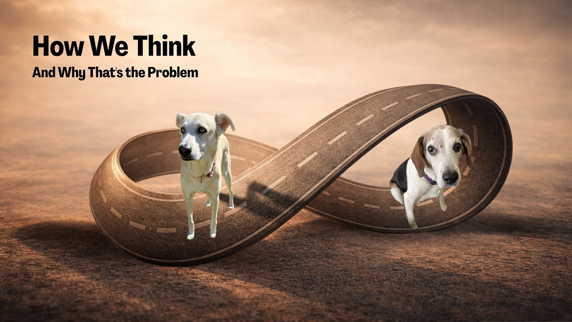 Cognitive Science: How We Think