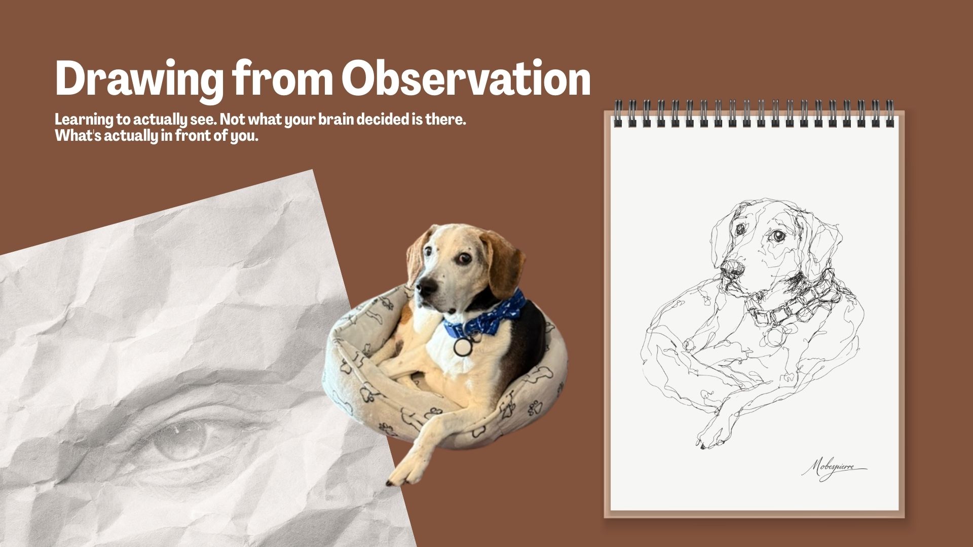 Drawing from Observation