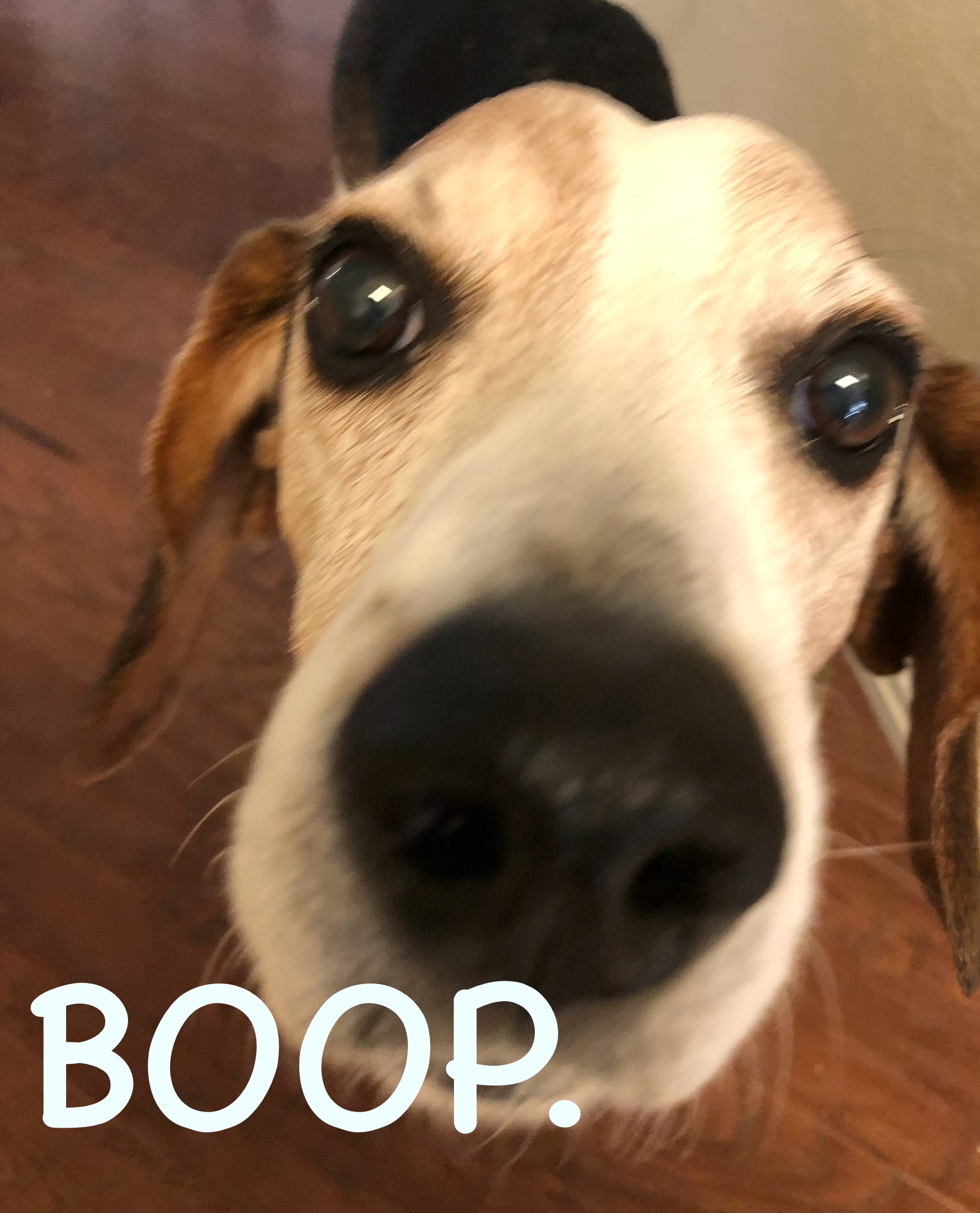 Moby — boop